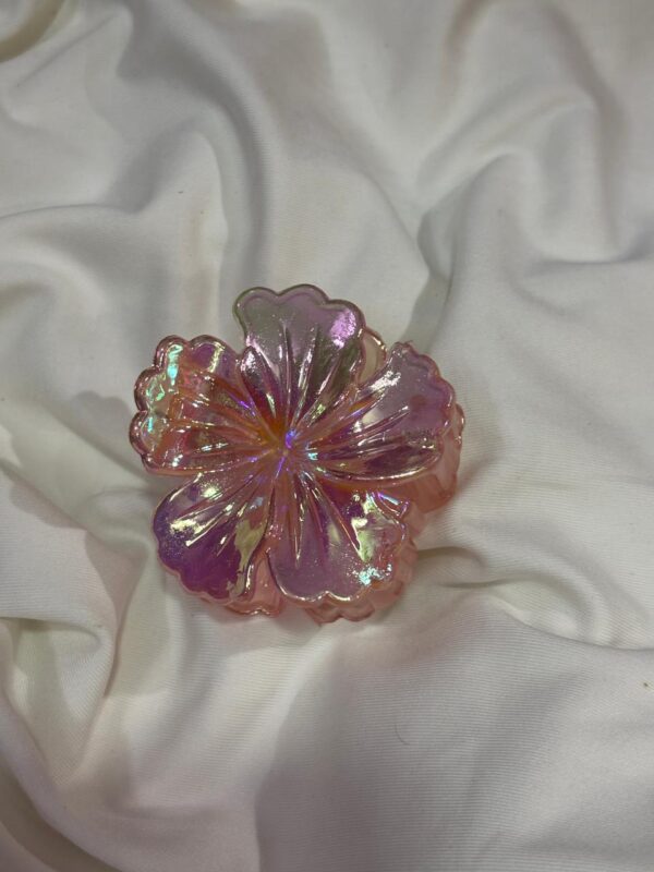 Hibiscus small